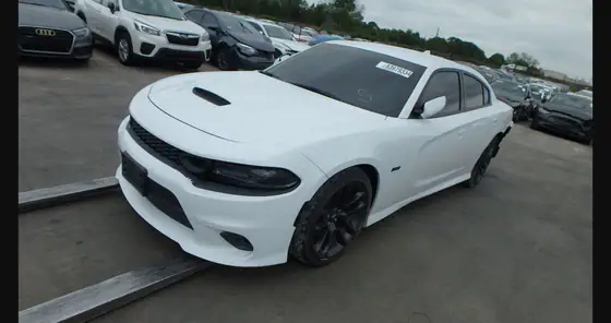 Zdjęcie dodane do opinii przez Robert Imiołek